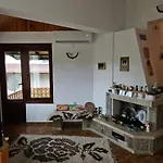 Dilyanka Stokite Stoykite